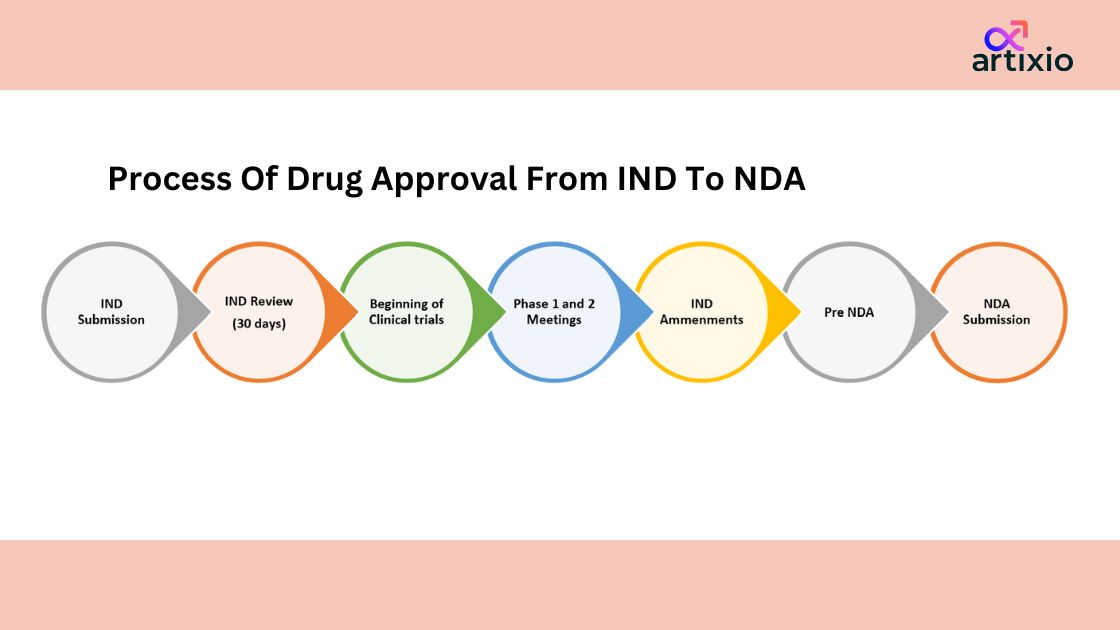 Process of drug approval from IND to NDA