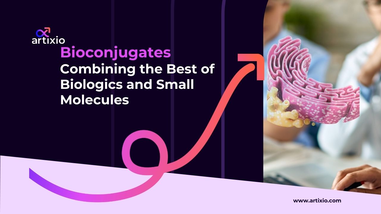 Bioconjugates: Combining the Best of Biologics and Small Molecules