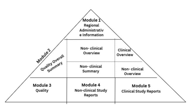 Structure And Components Of eCTD 