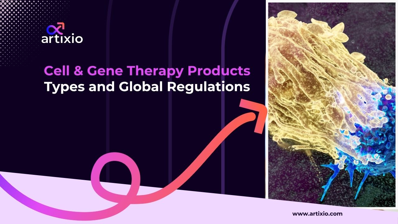 Cell and Gene Therapy Products: Meaning, Types & Global Regulations