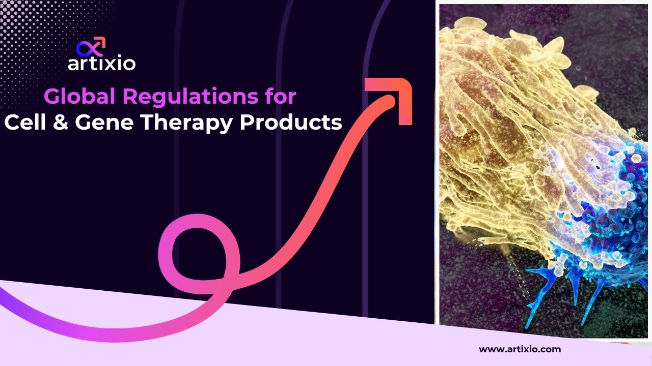 Cell and Gene Therapy Products: Meaning, Types & Regulations