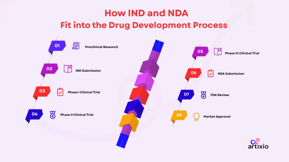 IND to NDA drug development process