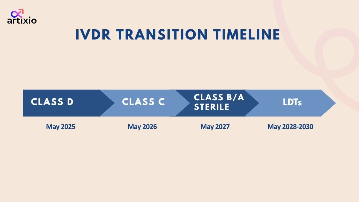 IVDR transition timeline