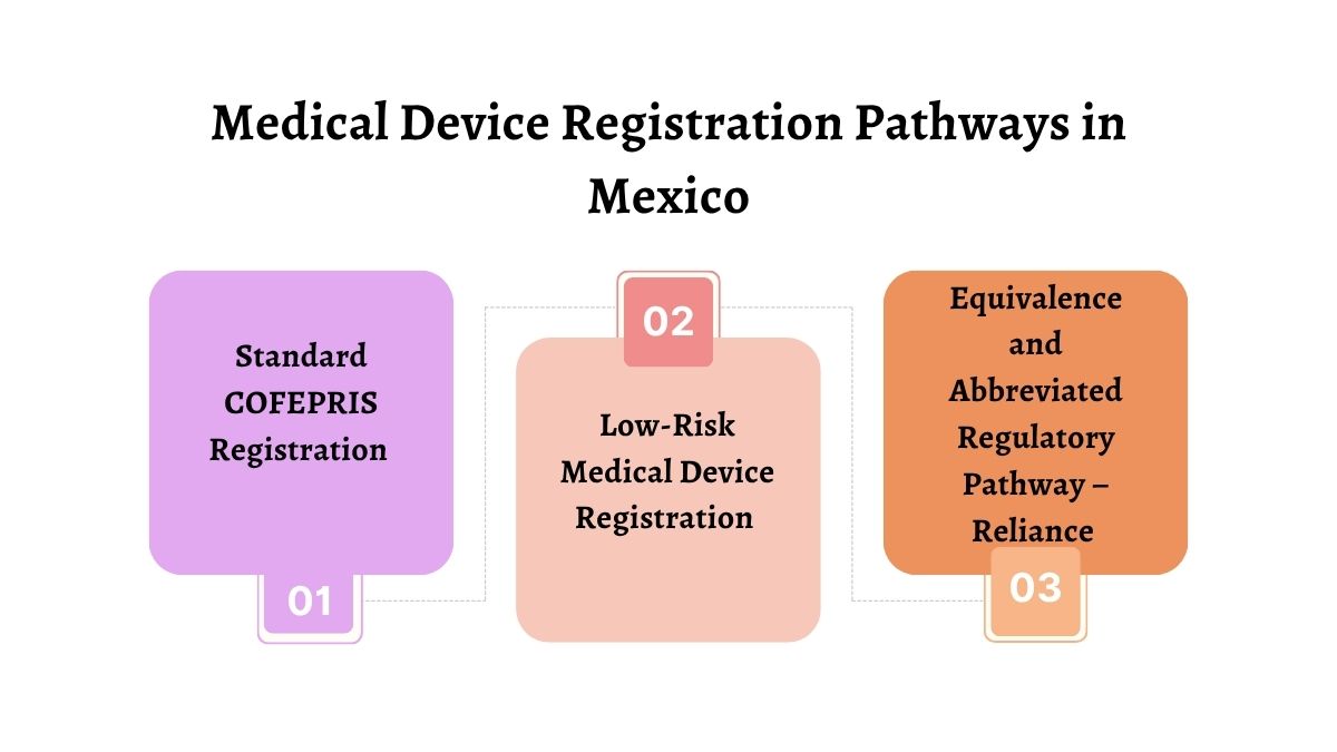 COFEPRIS medical device registration pathways in Mexico