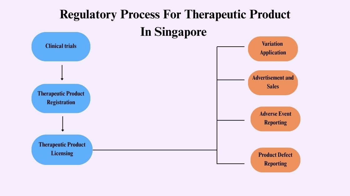 Pharmaceutical Regulations and Registration in Singapore