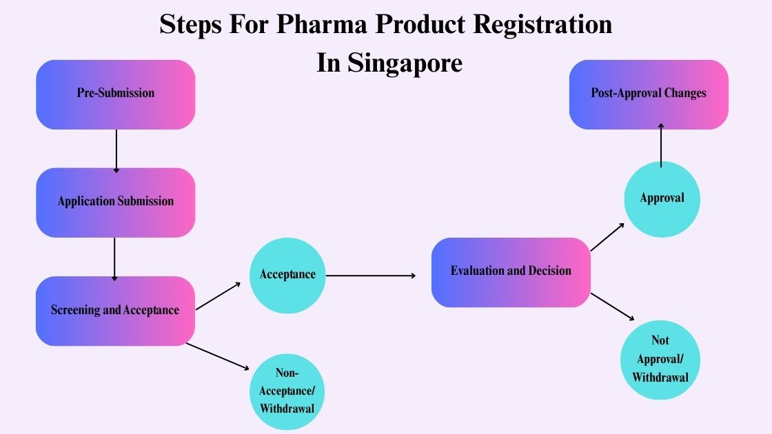 Steps For Therapeutic Product Registration in Singapore