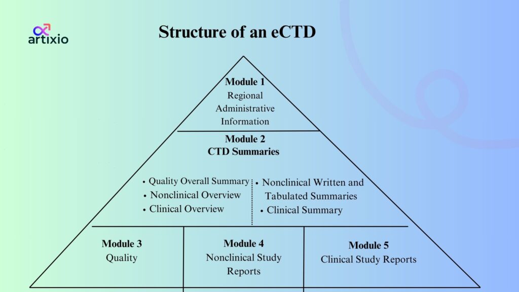 Structure of an eCTD